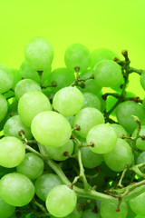Image of bright green background with wet grape