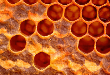 Honeycomb structure