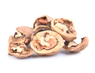 walnut group isolated