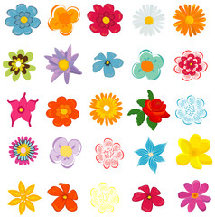 Obraz premium colorful spring flowers vector illustration