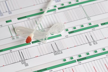 DNA Profil - genetischer Fingerabdruck