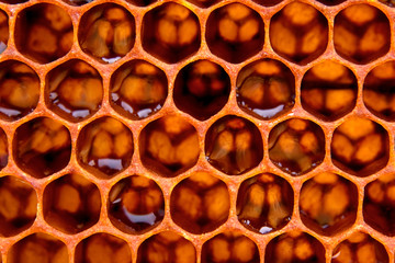 Honeycomb structure