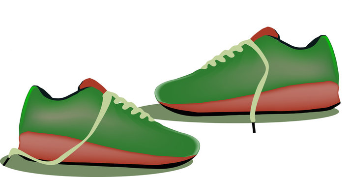 scarpe ginnastica