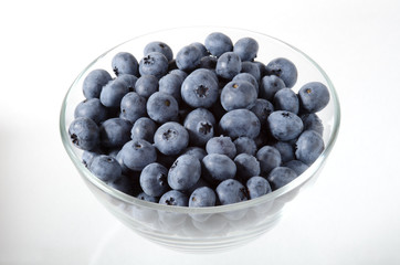 Heidelbeere, Blueberry, Vaccinium myrtillus