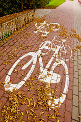 urban bicycle track in autumn