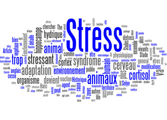 Obraz premium Stress
