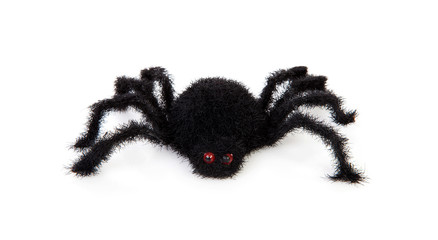 black scary hairy toy spider over white background