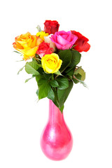 colorful roses in vase over white background