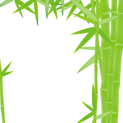 summer green bamboo frame