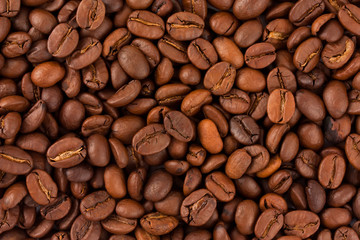Coffee bean background