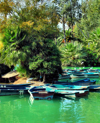 boats and  pond in  botanical garden in barcelona