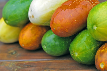 Multicolored cucumbers