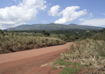 african road