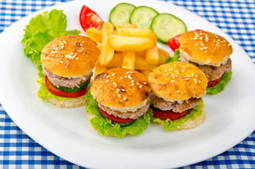 Burgers with french fries in plate