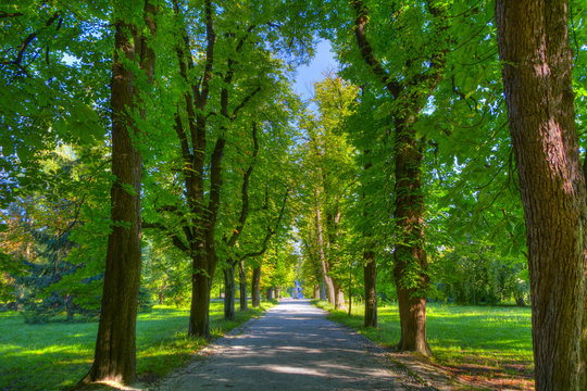 Tivoli Park,Ljubljana,Slovenia