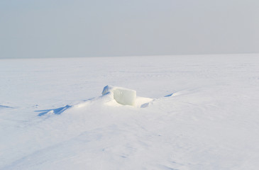Obraz na płótnie Canvas Frozen Gulf of Finland