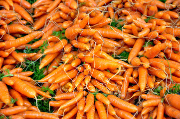 Winter carrots