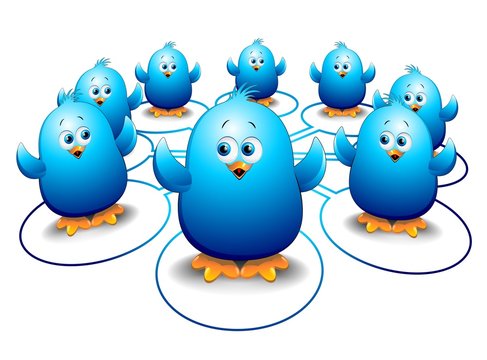 Pulcini Uccelli Blu Social Network-Blue Birds Social Media
