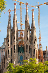 Fototapeta na wymiar Sagrada Familia, Barcelona