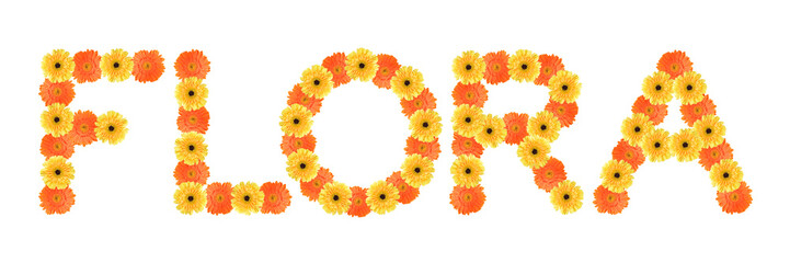 Flora word created by daisy flowers