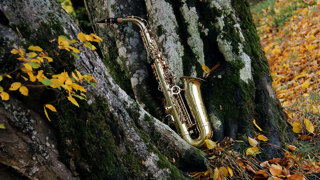 old grungy saxophone