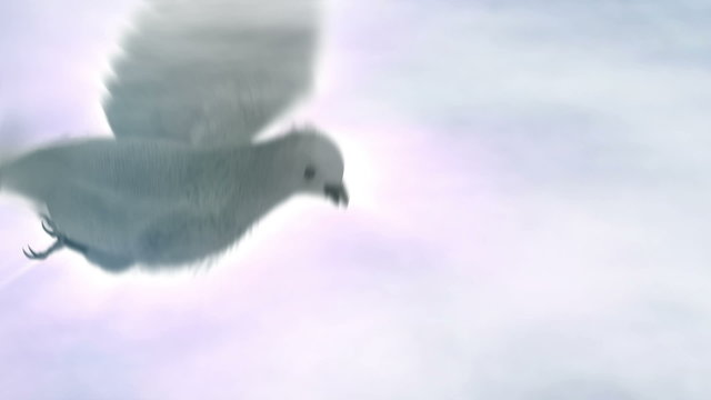 flying dove with clouds and sunrays