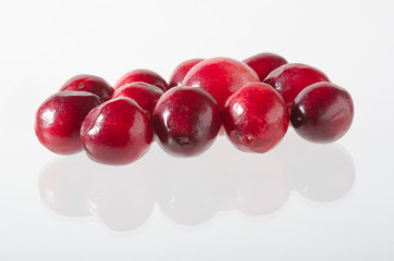 Preiselbeere, Cranberry