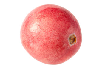 Preiselbeere, Cranberry