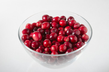 Preiselbeere, Cranberry