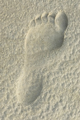 Fußabdruck im Sand 188