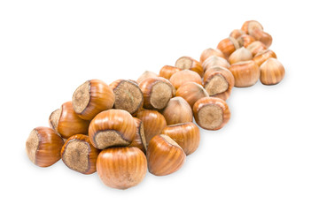 pile of hazelnuts