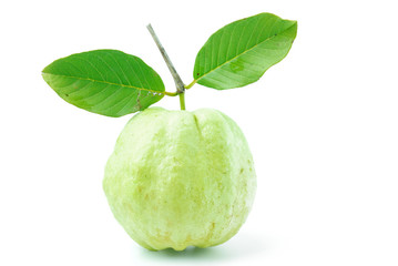 Guava