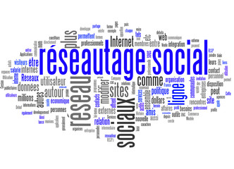 Réseautage social (Social Network)
