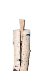 froth wooden splitting wedge