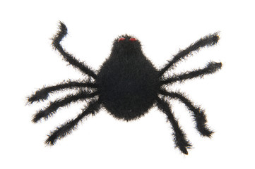 Black spider