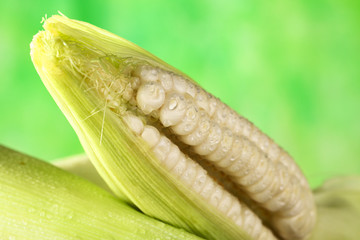 Fresh raw white sweet corncob sprinkled with water