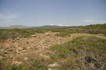 Landscape on Akamas peninsula, Cyprus