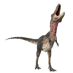 tarbosaurus singing