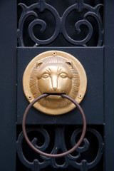 funny lion door decoration