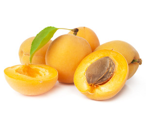 Group apricot on a white background