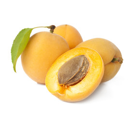 Group apricot on a white background