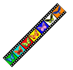 Butterflies on film illustration