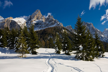 Monte Pala di San Martino, Dolomiti