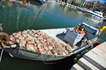 Peschereccio, Grado, Italia