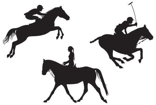 Equestrian sport. vector silhouettes