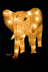 Elephant lantern