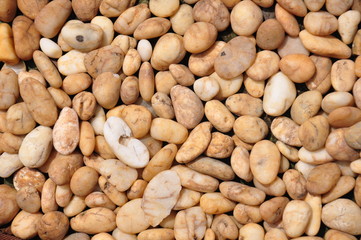 pebble stones texture