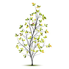 Obraz premium green vector tree silhouette - arbre vectoriel