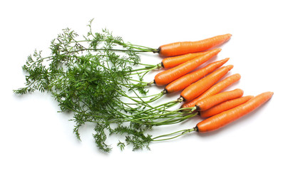 carrots with green tops