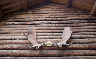 Moose Antlers on Log Cabin